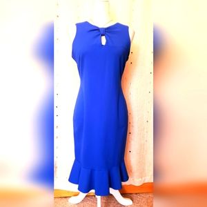 Taylor dress size 10